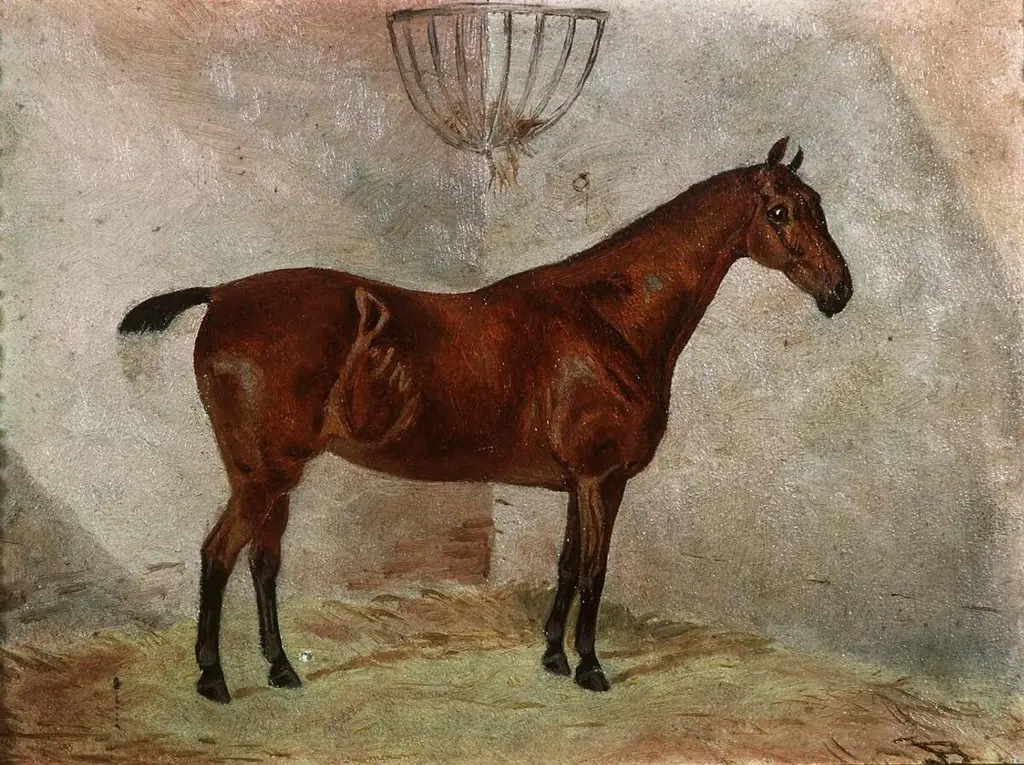 Portrait of a hunter, by Unknown