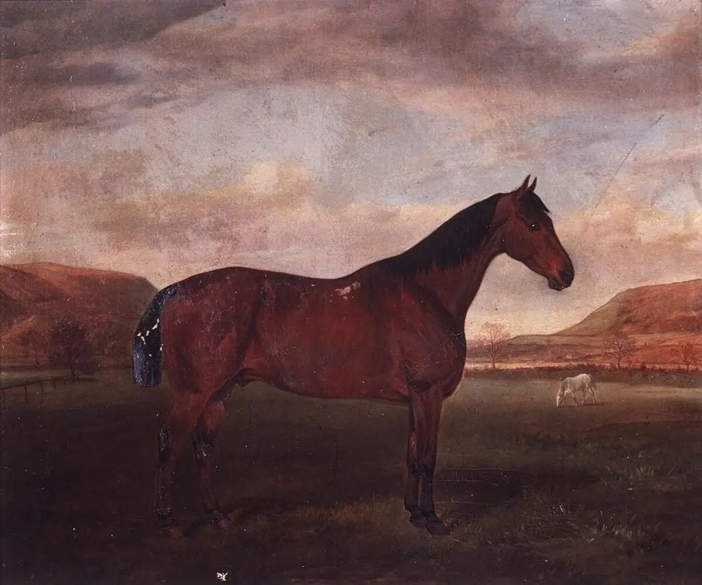 Portrait of a Hunter in landscape, by Unknown