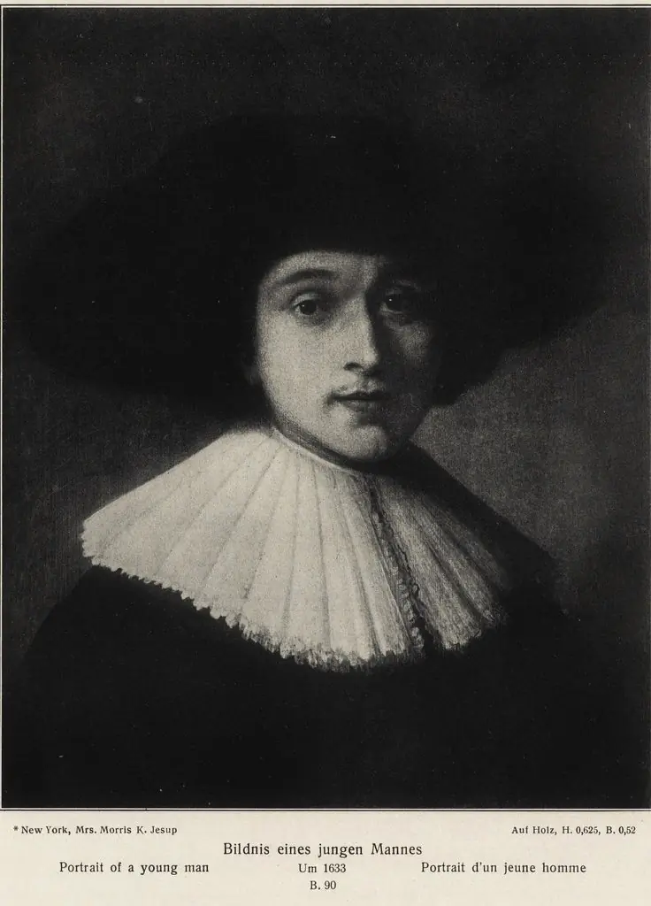 Portrait of a Young Man wrongly called Burgomaster Six, by Unknown