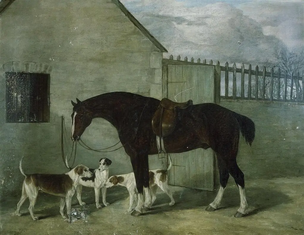 Portrait of hunter Magpie & dogs, by Unknown
