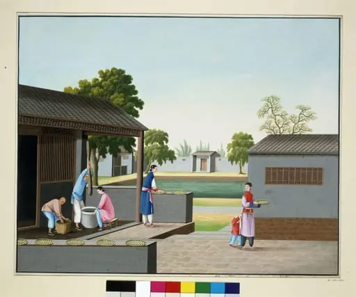 Pounding Tea Leaves and Forming Tea Cakes, by Unknown