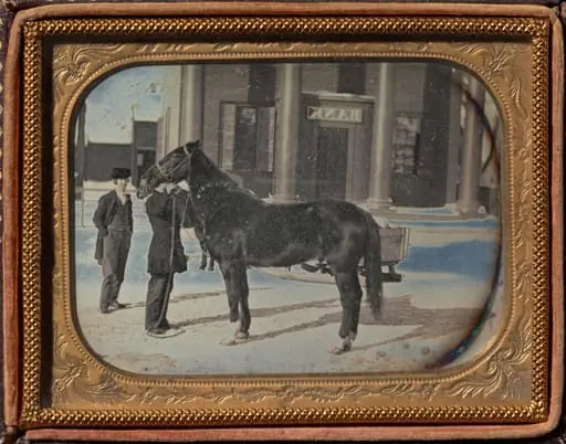 Prize Horse in winter, Chemung County, New York, by Unknown
