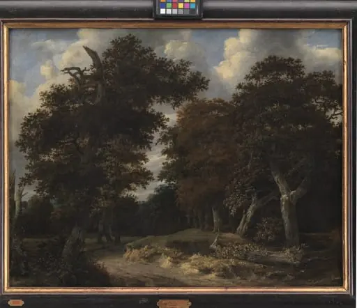 Road through an Oak Forest, by Unknown