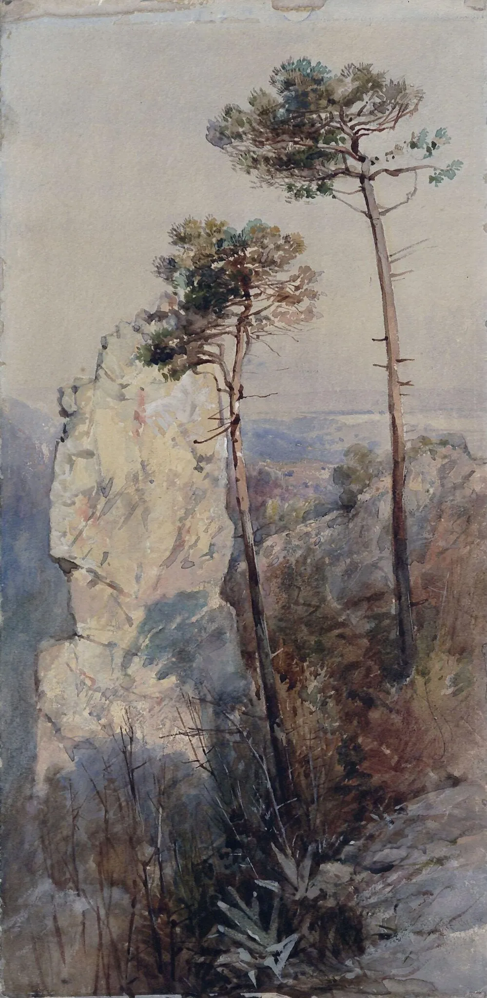 Rocks and Pines, Sorrento, by Unknown, watercolor, 1850