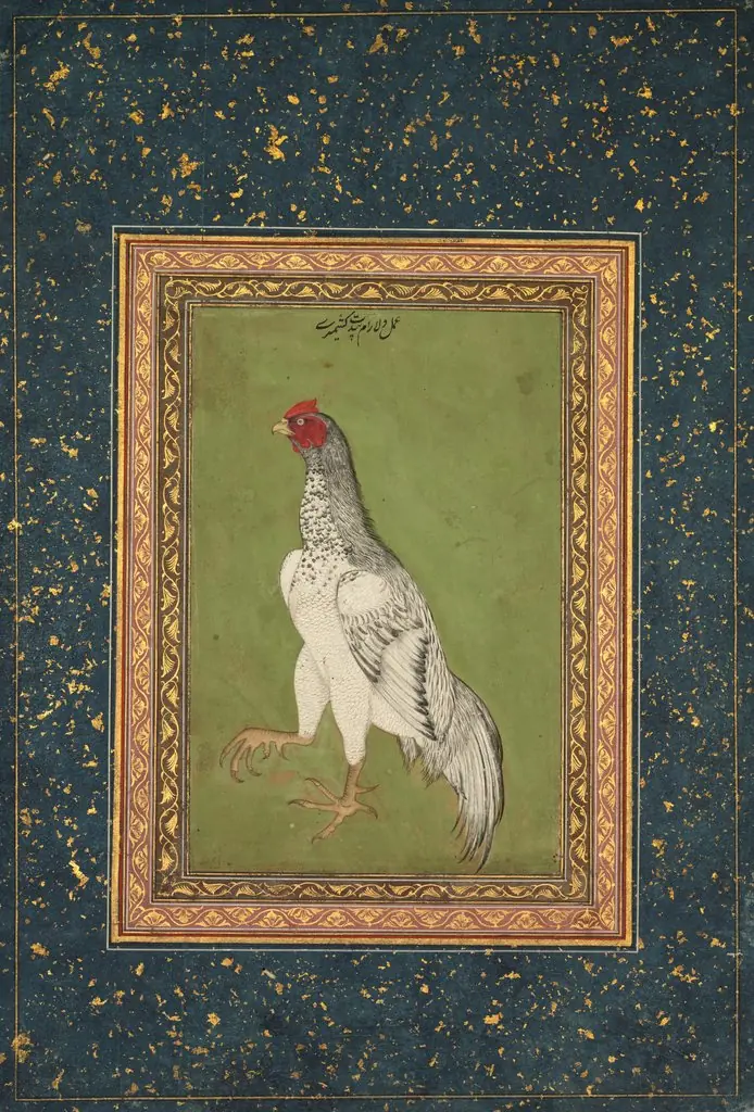 Rooster, by Unknown