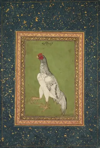 Rooster, by Unknown, 1620