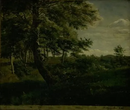 Ørsbjerg Forest at Aarup, Funen, by Unknown