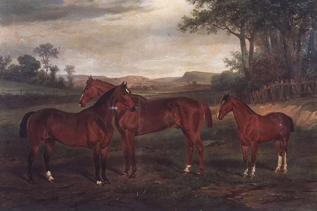 Sam, Bowler and Farmer 1860, by Unknown