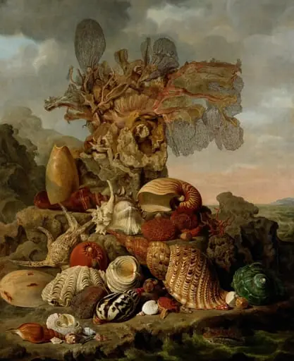 Shells and Marine Plants, by Unknown