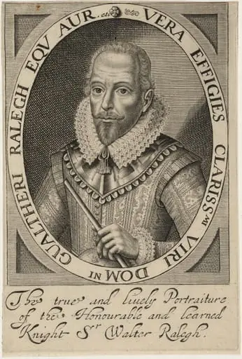 Sir Walter Raleigh, by Unknown