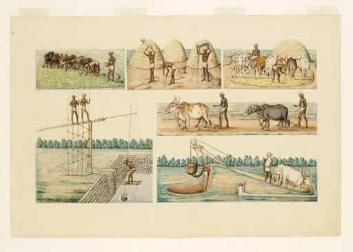 Six scenes of cultivation and irrigation, by Unknown
