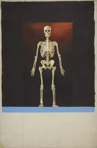 skeleton, by Unknown