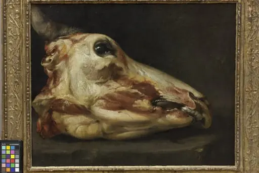 Skinned Head of an Ox, by Unknown