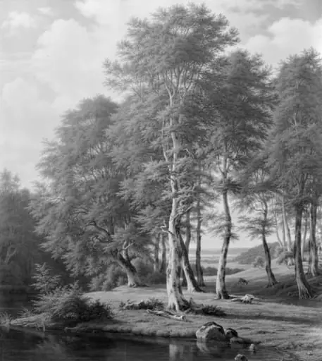 Skovlandskab. Nordsjælland, by Unknown