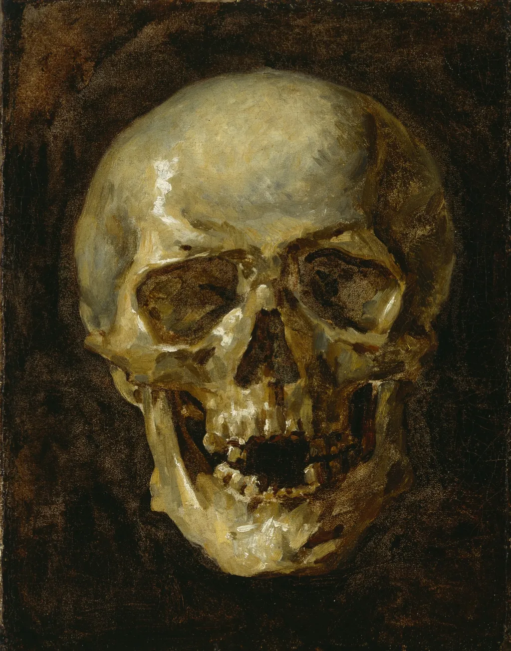 Skull, by Unknown, oil