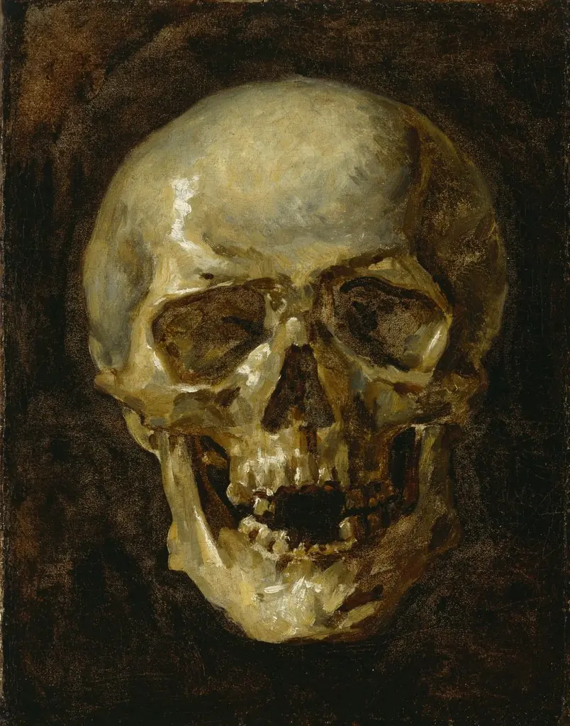 Skull, by Unknown