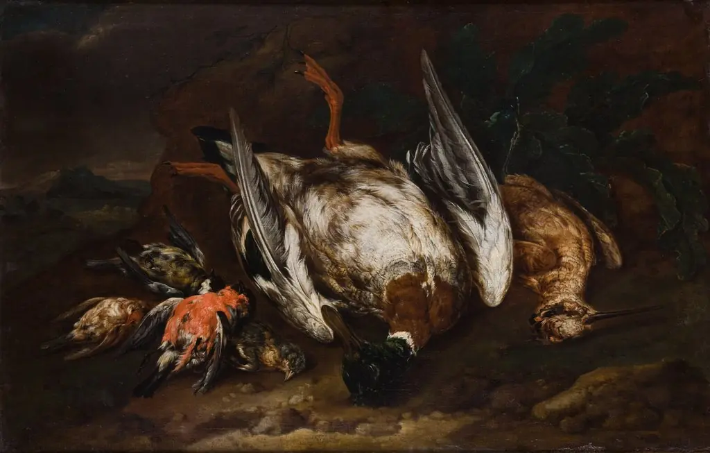 Slaughtered Birds, by Unknown