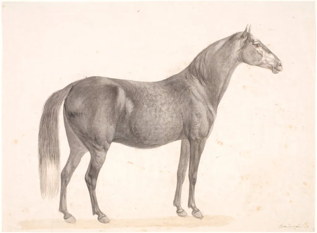 Sort hest, by Unknown, unspecified, 1804