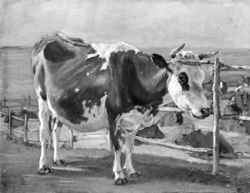 Stående rødbroget ko, by Unknown