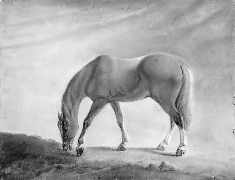 Standing Brown Horse, by Unknown, unspecified, 1798