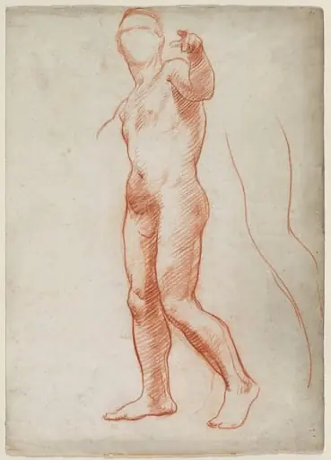 Standing Male Nude, by Unknown