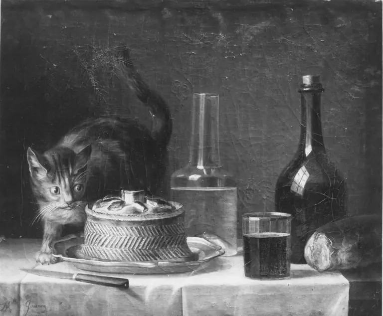 Still life with Cat, by Unknown