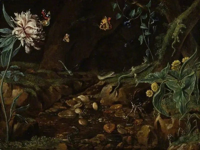 Stream in a dell, with flowers, reptiles, etc..., by Unknown
