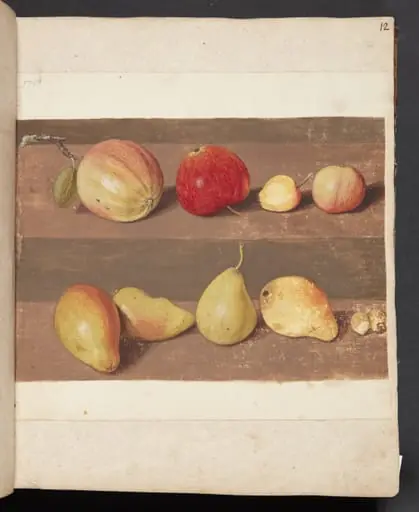 Studie af æbler og pærer, by Unknown