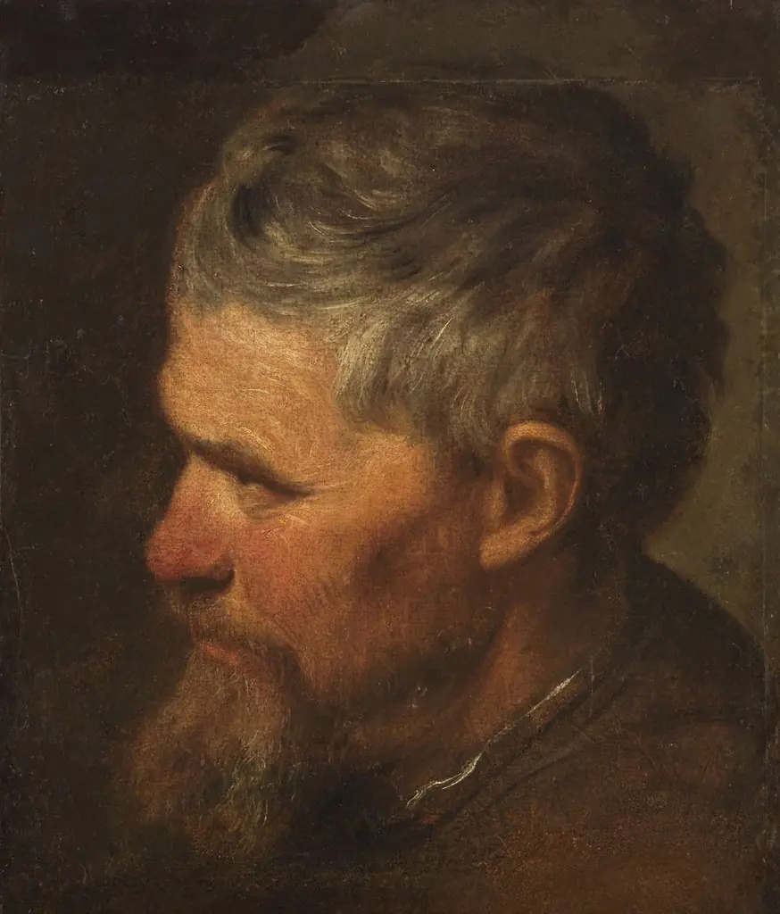Studienkopf eines Mannes, by Unknown