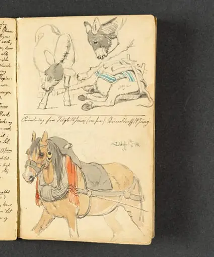Studier af æsler og en forspændt hest, by Unknown, 1845