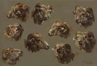 Studies of Ram Heads, by Unknown, 1749