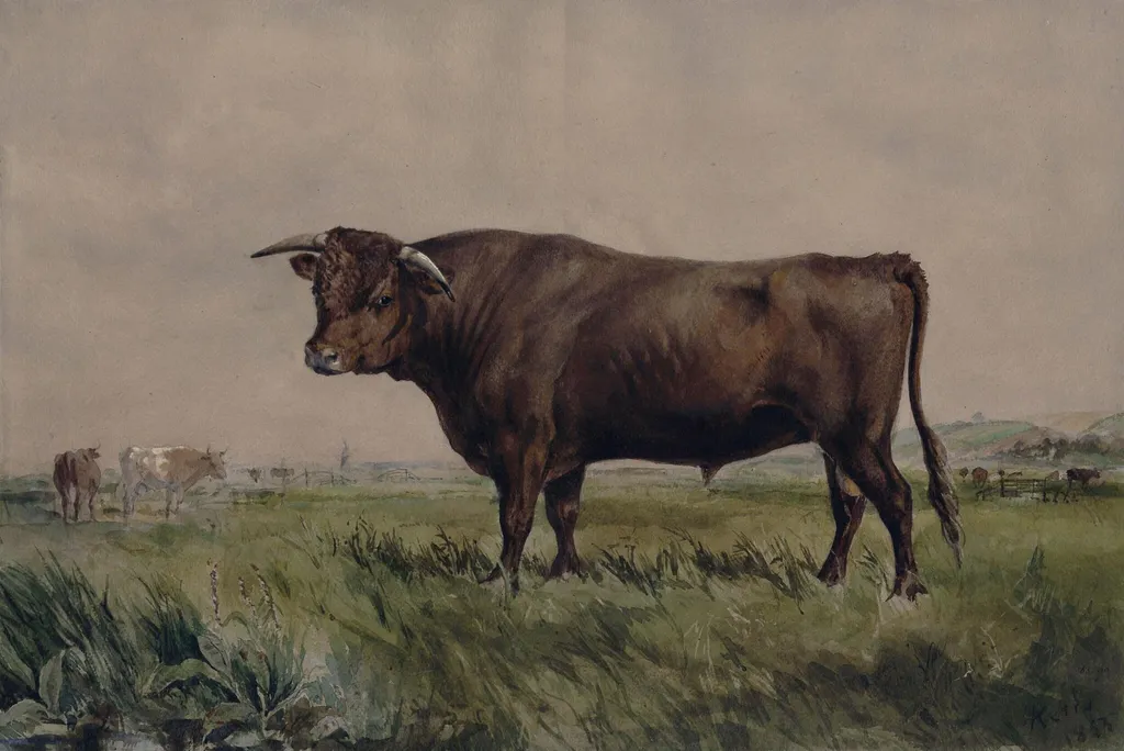 Study of a bull in a landscape, by Unknown, watercolor, 1853