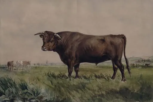 Study of a bull in a landscape, by Unknown