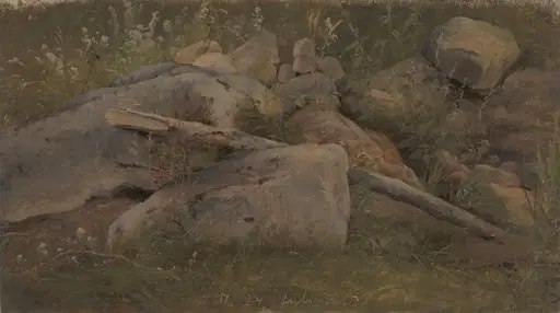 Study of a Stone Heap, by Unknown
