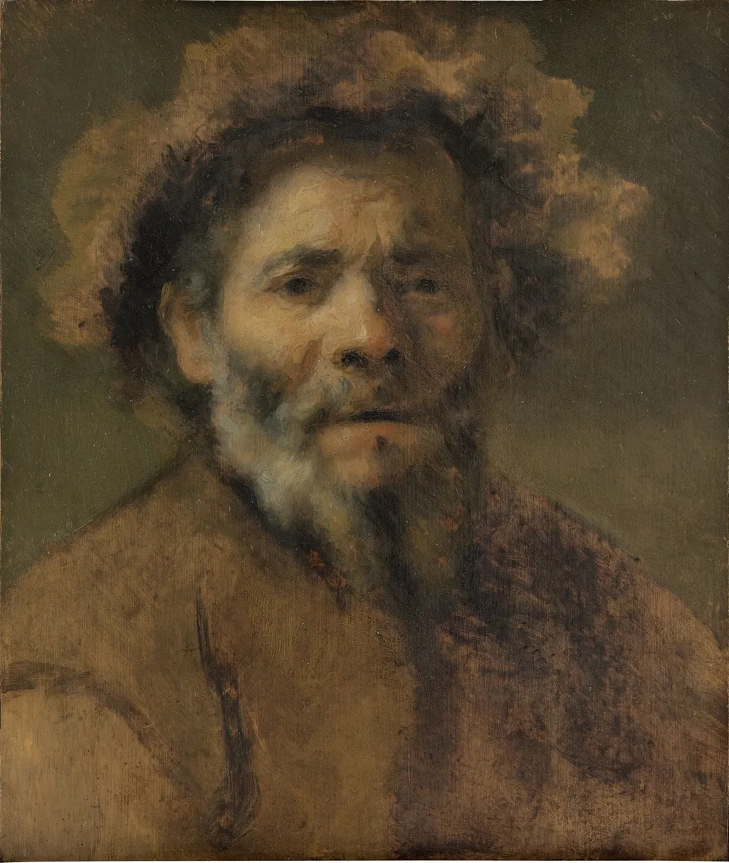 Study of an old man, by Unknown, oil, 1650