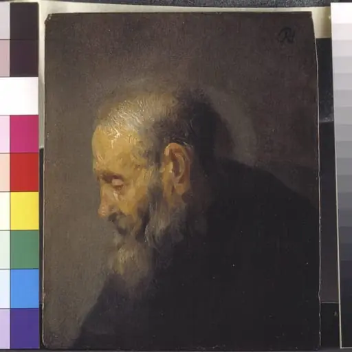 Study of an Old Man in Profile, by Unknown