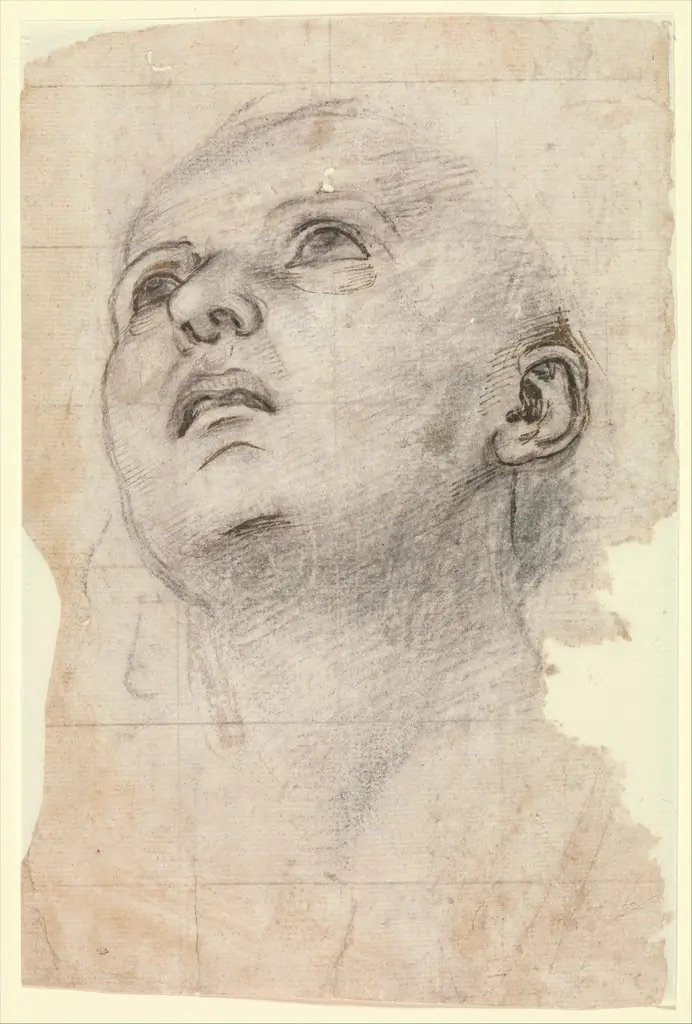 Study of the Head of a Youth Gazing Upward, by Unknown