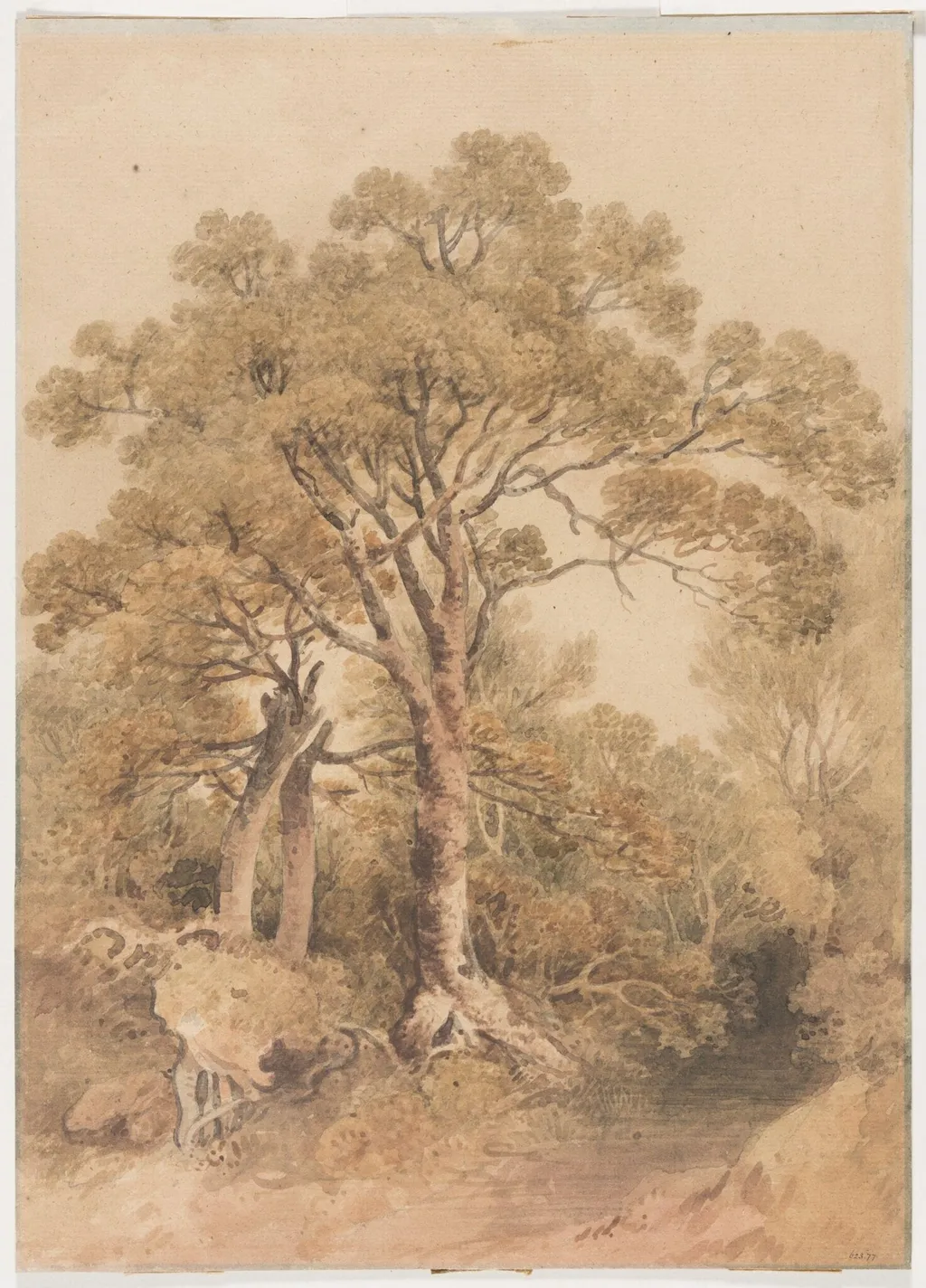 Study of trees, by Unknown, watercolor, 1850