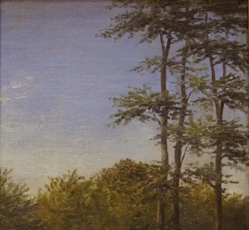 Study of Undergrowth and Tall Trees, Funen, by Unknown