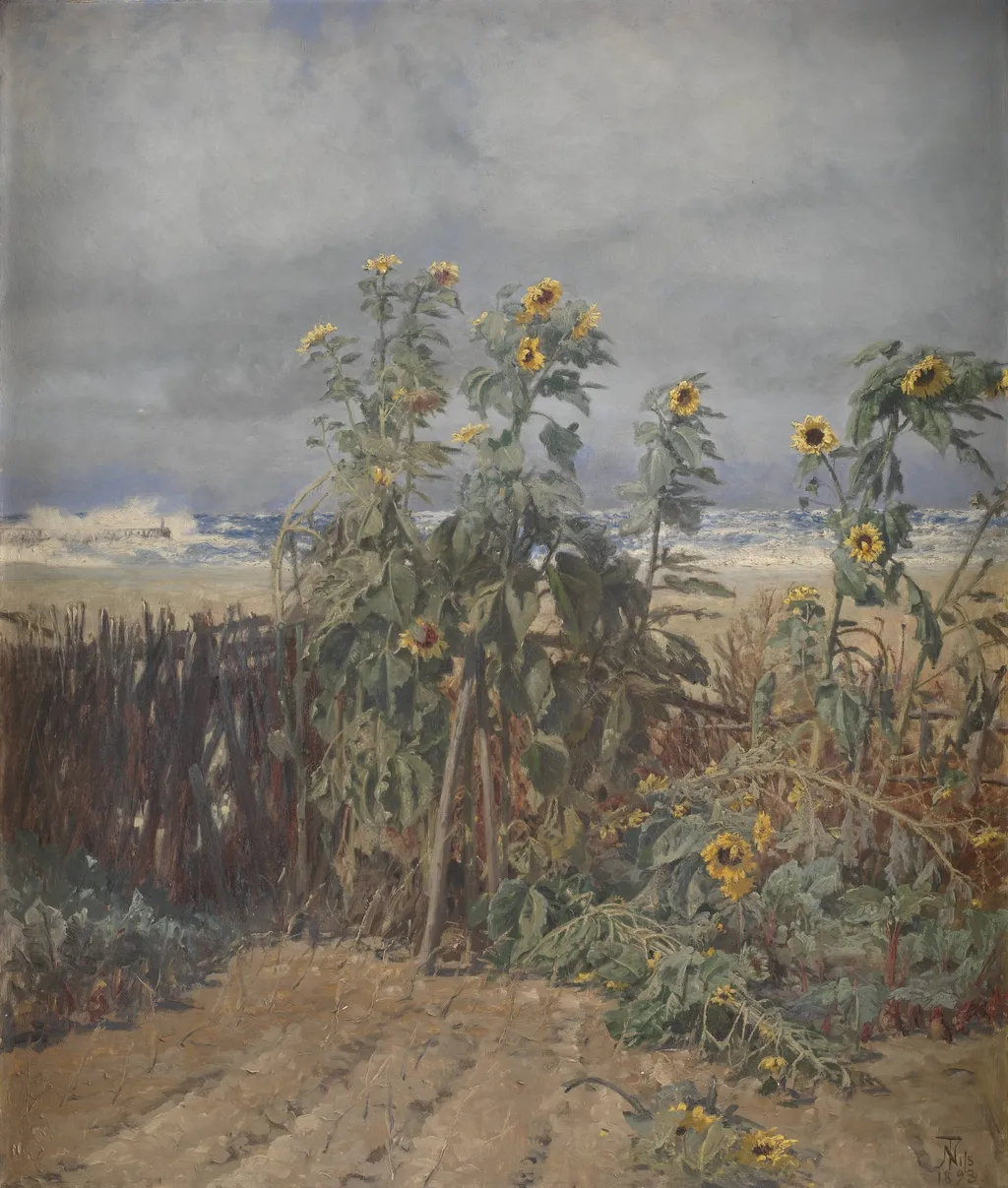 Sunflowers on a Beach, by Unknown, 1893