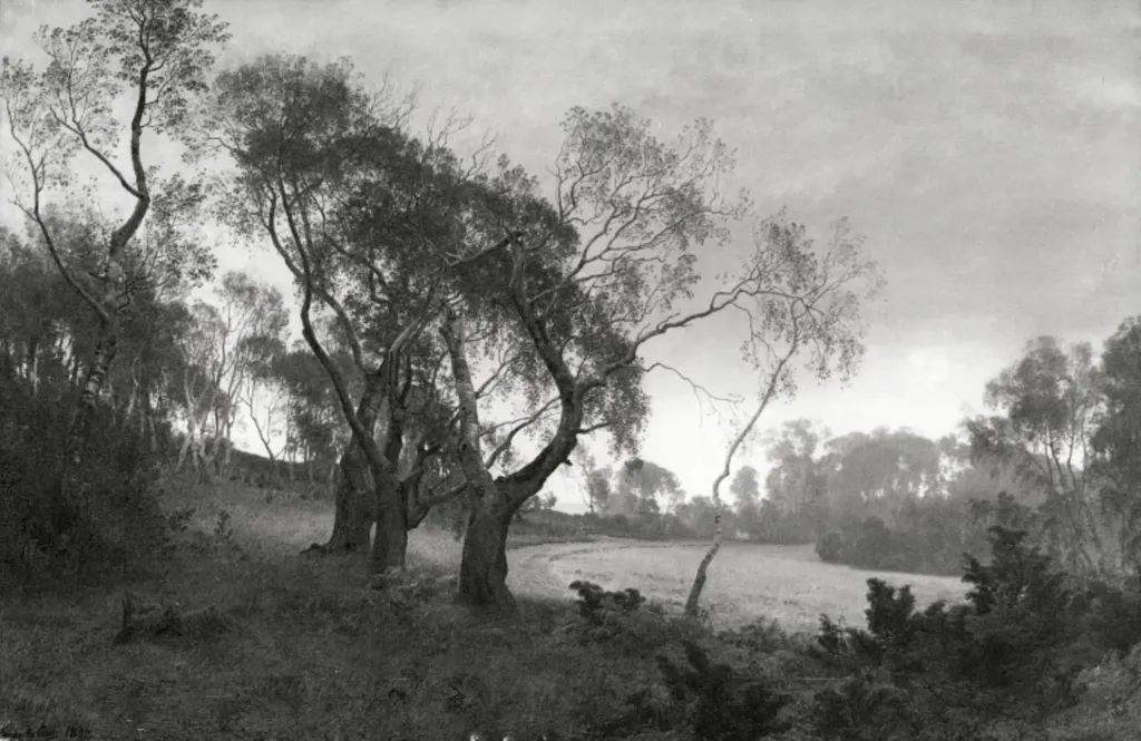 Tåget efterårsmorgen i udkanten af en birkeskov. Motiv fra egnen ved Silkeborg, by Unknown, 1877