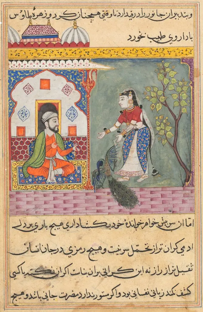 The Brahman’s wife who killed a peacock and ate its gallbladder on the physician’s advice, from a Tuti-nama (Tales of a Parrot): Nineteenth Night, by Unknown