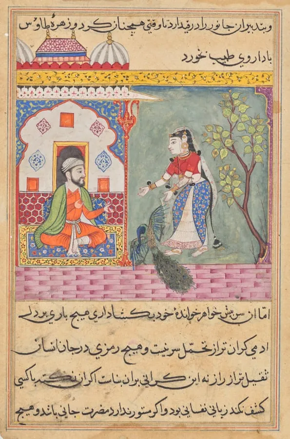 The Brahman’s wife who killed a peacock and ate its gallbladder on the physician’s advice, from a Tuti-nama (Tales of a Parrot): Nineteenth Night, by Unknown, unspecified, 1560