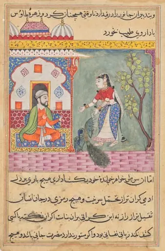 The Brahman’s wife who killed a peacock and ate its gallbladder on the physician’s advice, from a Tuti-nama (Tales of a Parrot): Nineteenth Night, by Unknown