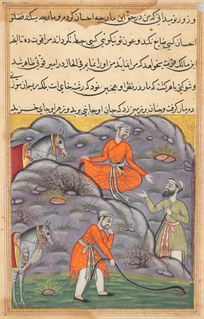The Emir slays the snake after giving it shelter, from a Tuti-nama (Tales of a Parrot): Forty-fifth Night, by Unknown