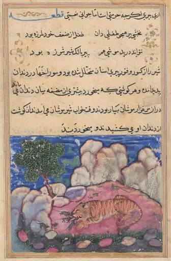 The lion disturbed by mice who eat the food trapped in his aging teeth, from a Tuti-nama (Tales of a Parrot): Fifteenth Night, by Unknown