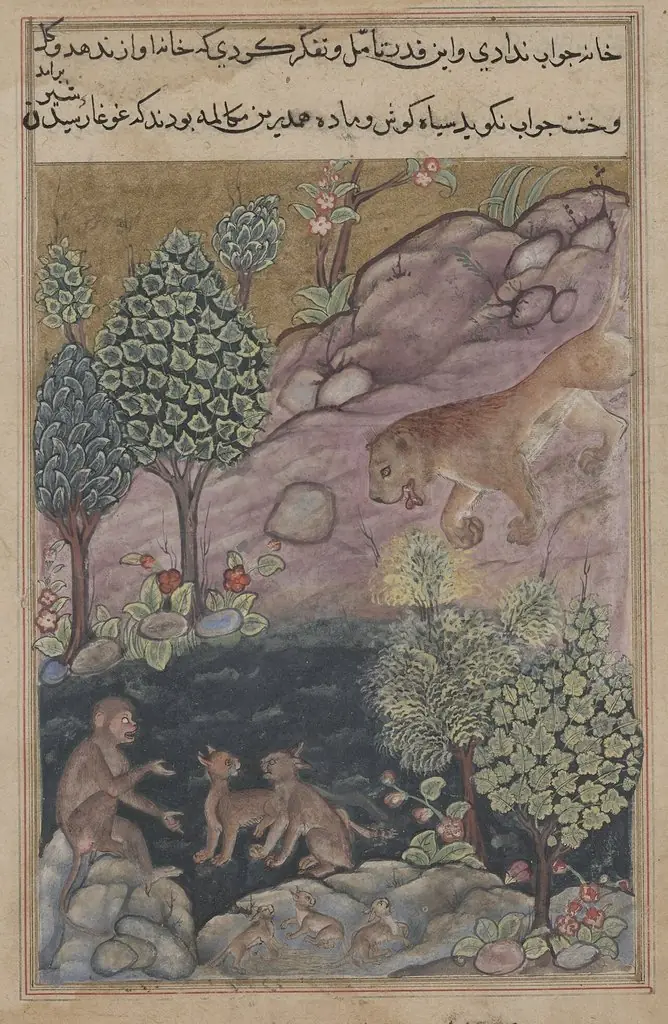 The lion returns to his territory and sees the monkey conversing with the lynx, from a Tuti-nama (Tales of a Parrot): Twenty-ninth Night, by Unknown