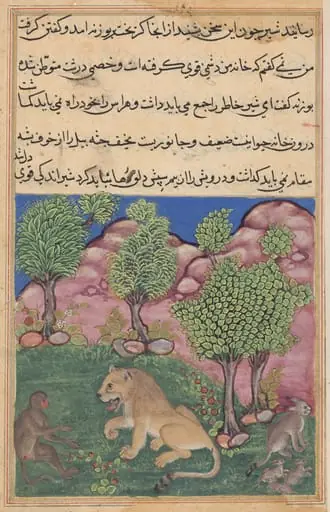 The monkey advises the suspicious lion to cast off fear and take possession of his territory, from a Tuti-nama (Tales of a Parrot): Twenty-ninth Night, by Unknown