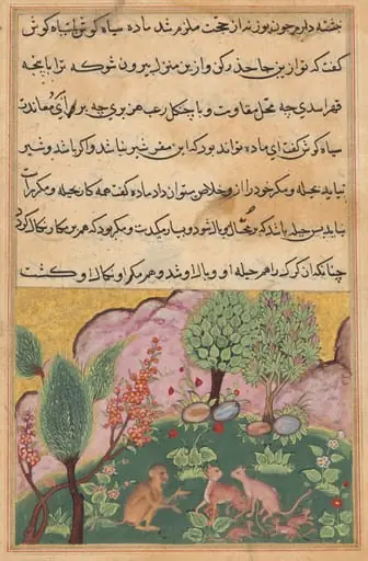 The monkey, serving as the lion’s chamberlain, converses with the lynx and its mate who have arrived with their cubs to settle in the lion’s domain, from a Tuti-nama (Tales of a Parrot): Twenty-ninth Night, by Unknown