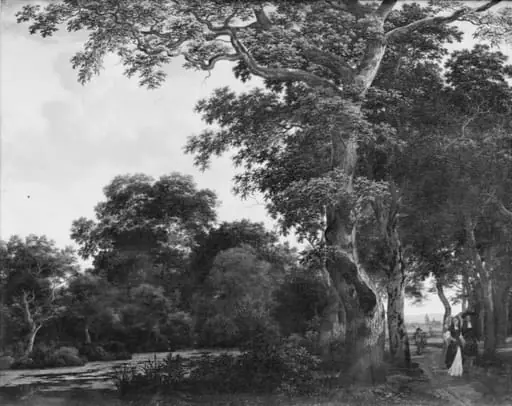 The Oak Avenue, by Unknown